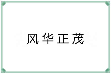 风华正茂